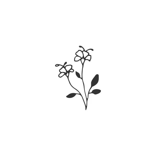 Elemento dibujado a mano floral vectorial en estilo elegante y minimalista . — Archivo Imágenes Vectoriales