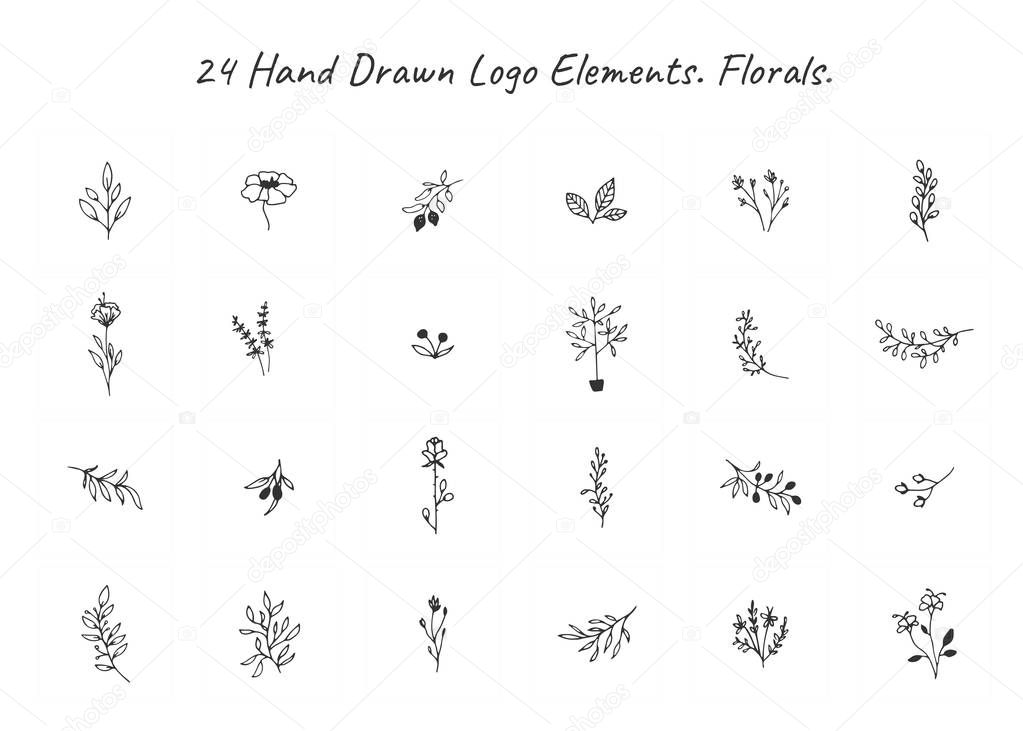 Vector set of floral hand drawn elements in elegant and minimal style.