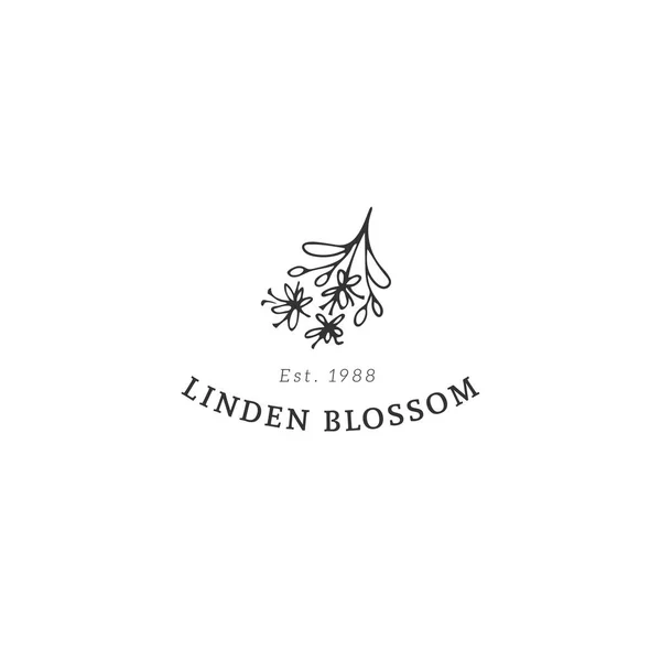 Κουζίνα λογότυπο πρότυπο, linden blossom. Διανυσματικό αντικείμενο συρμένο χέρι. — Διανυσματικό Αρχείο