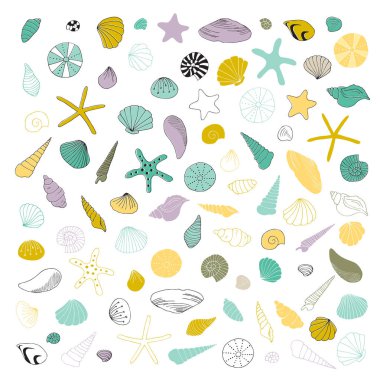 Vektör el çekilmiş deniz kabukları kümesi