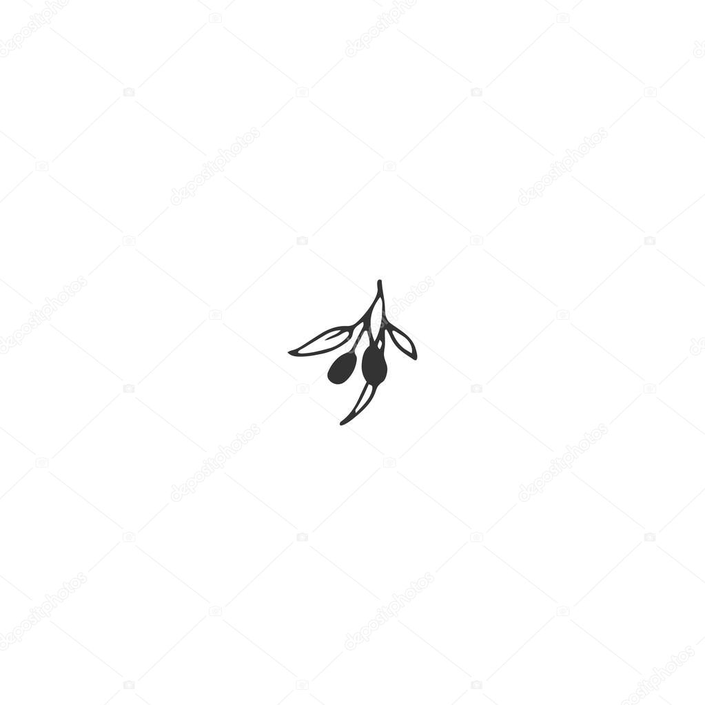Vector floral hand drawn logo element in elegant and minimal style. Isolated object, branch with berries. Black on white illustration. For badges, labels, logotypes and branding business identity.