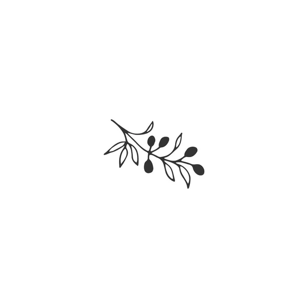 Elemento dibujado a mano floral vectorial en estilo elegante y minimalista . — Archivo Imágenes Vectoriales