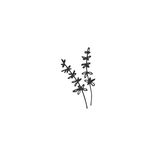 Elemento dibujado a mano floral vectorial en estilo elegante y minimalista . — Vector de stock