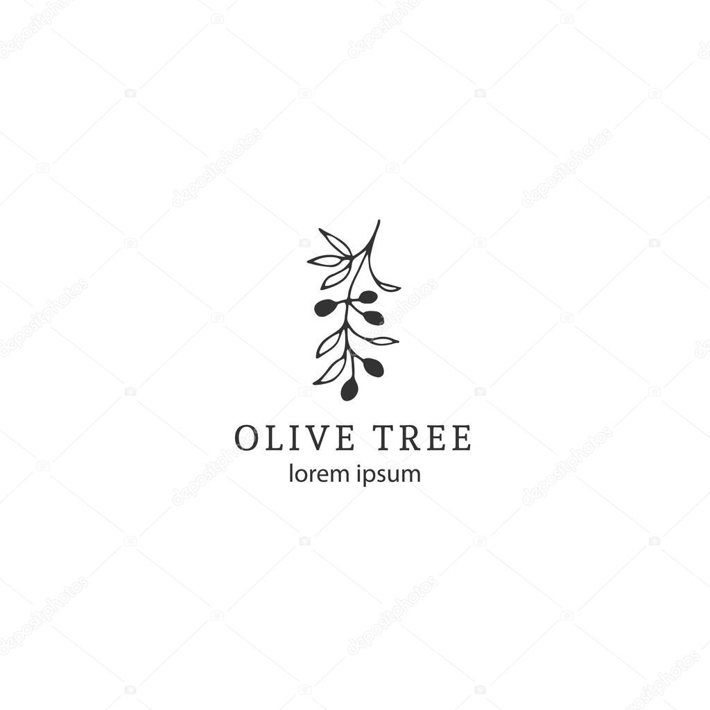 Vector floral hand drawn logo template in elegant and minimal style. Olive branch with leaves and berries. Black on white illustration. For badges, labels, logotypes and branding business identity.