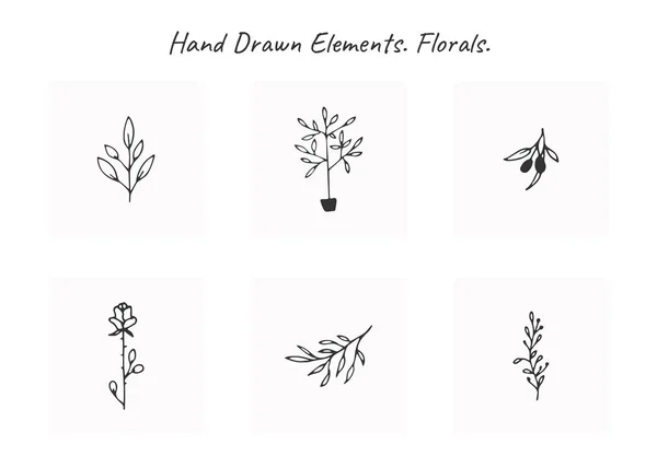 Vector verzameling floral hand getrokken elementen in elegante en minimale stijl. — Stockvector