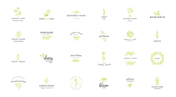 Wektor zestaw kwiatowy kwiecisty logo szablonów w stylu elegancki i minimal. — Wektor stockowy