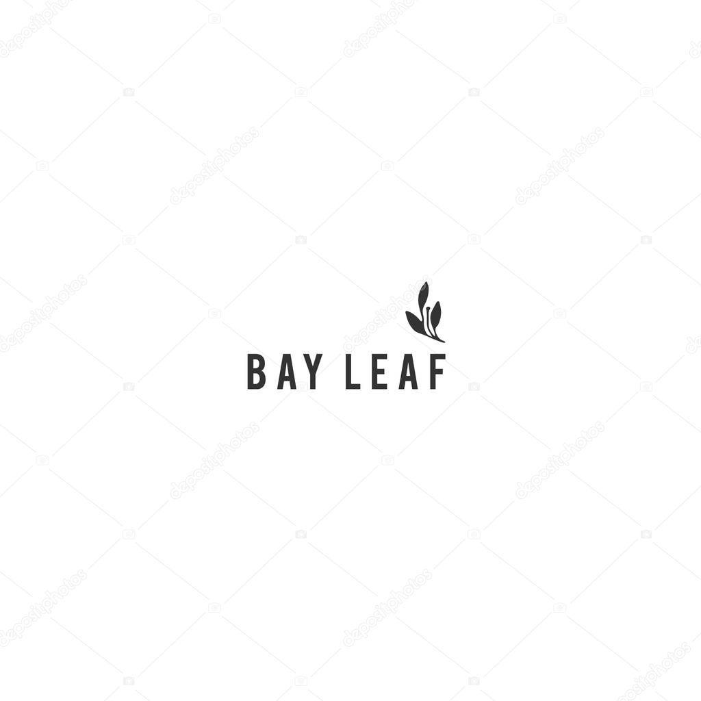 Kitchen and food theme logo template, bay leaf. Isolated symbol for business branding and identity, for cooking classes, food blogs and websites. Vector hand drawn object.