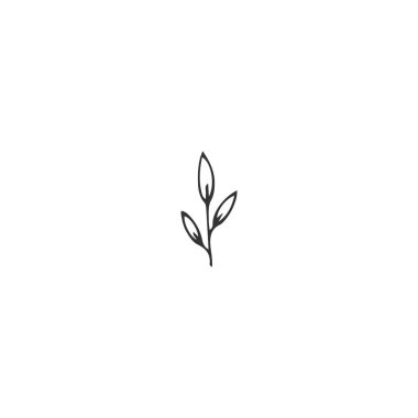 El çizilmiş izole Illustration. Bahçe veya doğa ile ilgili iş, yaprakları ile bir şube için vektör logo elemanı.