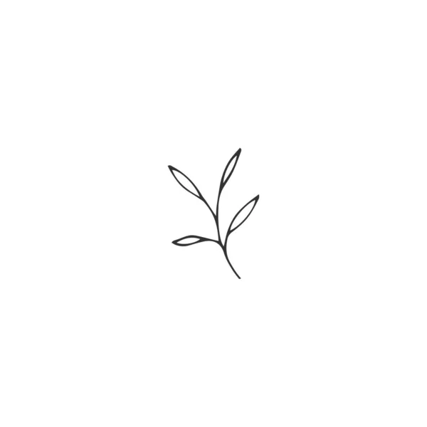 Élément de logo vectoriel, une branche verte avec des feuilles. Illustration de jardin dessinée à la main . — Image vectorielle