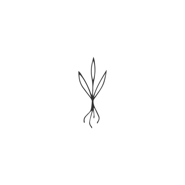 Elemento logo vettoriale, un germoglio con radici. Illustrazione isolata giardino disegnato a mano . — Vettoriale Stock