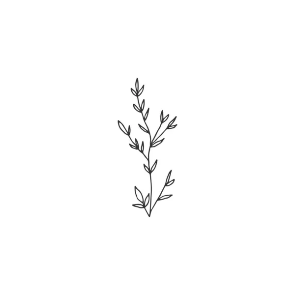 Ícone floral simples desenhado à mão. Ilustração vetorial. Uma silhueta de ramo com folhas . —  Vetores de Stock