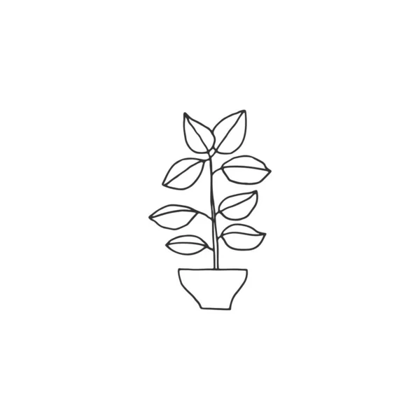 Ícone floral simples. Uma planta numa panela. Ilustração desenhada à mão vetorial . — Vetor de Stock