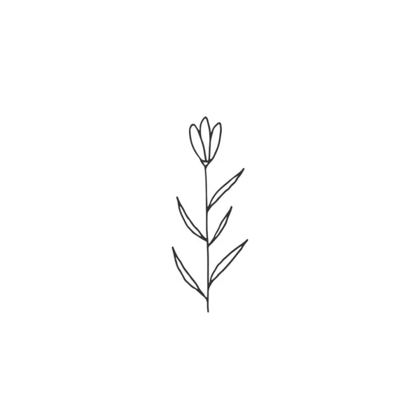 Ícone floral simples desenhado à mão. Uma pequena flor. Ilustração vetorial . —  Vetores de Stock