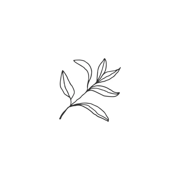 Vector dibujado a mano icono floral. Una rama con hojas. — Vector de stock