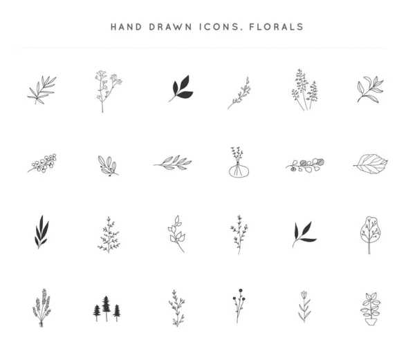 Set van vector hand getrokken bloemen pictogrammen. Bloemen en bladeren. — Stockvector