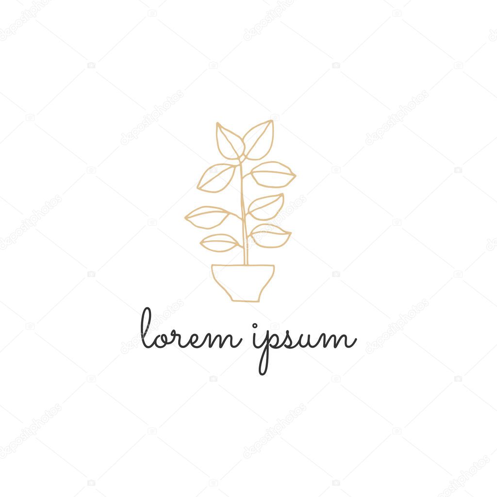 Simple floral icon. A plant in a pot. Vector hand drawn logo template.
