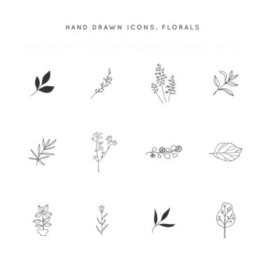 Çiçekler ve yapraklar. Vektör el çizim simgeleri kümesi.