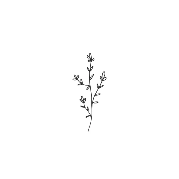 Ein Zweig mit Blättern und Blüten. Handgezeichnete einfache florale Ikone. Vektorillustration. — Stockvektor