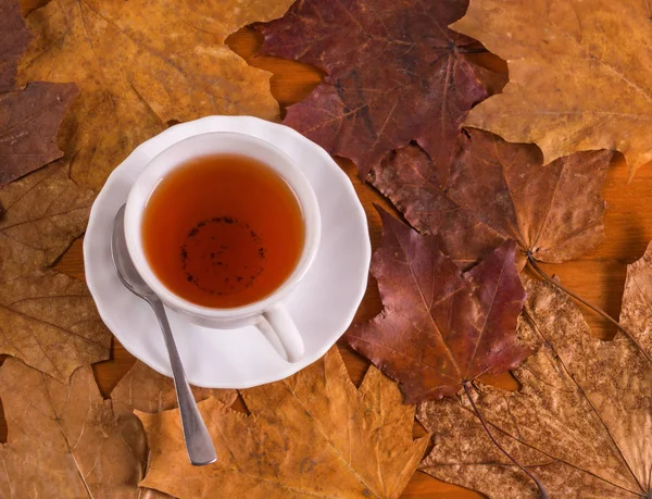 Cup Tea Surrounded Autumn Leaves Autumn Concept — Stock Photo, Image