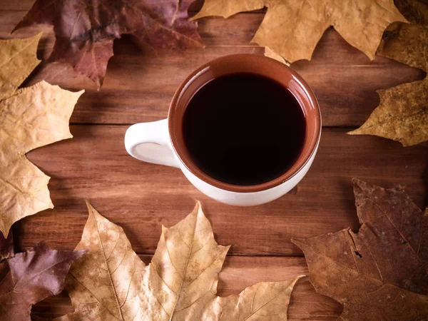 Sonbahar çevrili çay sonbahar konsepti bırakır. Üstten Görünüm