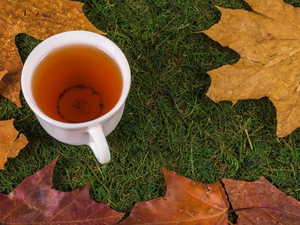 Cup Black Tea Green Grass Yellow Leaves — Stock Photo, Image