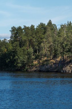 Gölün yeşil ağaçlar ile sahil kıyısında. Mavi gökyüzü bulutlu