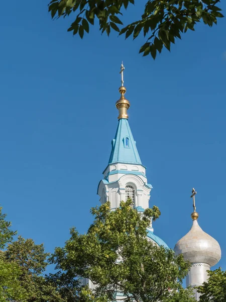 Mavi Gökyüzü Arka Plan Üzerinde Ağaçları Arasında Katedral Kubbe Spire — Stok fotoğraf