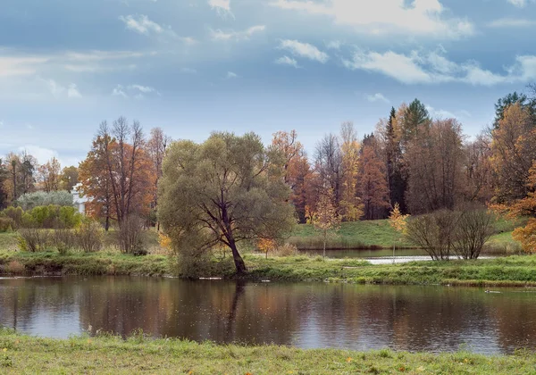 The coast of the autumn river, the forest on the river bank