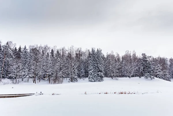 Vista Del Fiume Sotto Ghiaccio Foresta Paesaggio Invernale — Foto Stock
