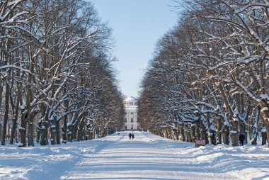 Ağaçlar ve avenue parkta bir kar yağışı sırasında