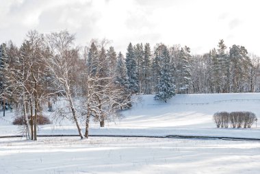 Nehir kıyısında orman parkta. Soğuk kış günü