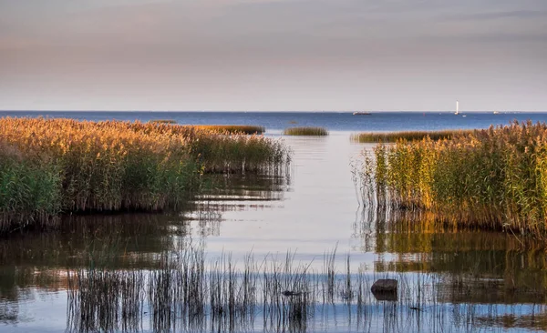 Natursee bei Sonnenuntergang — Stockfoto