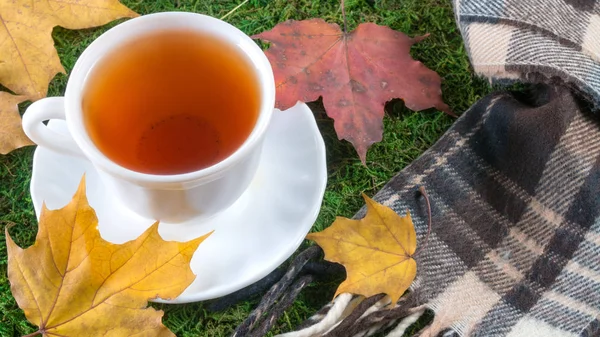 Cup of hot tea is wrapped in a woolen scarf — Stock Photo, Image