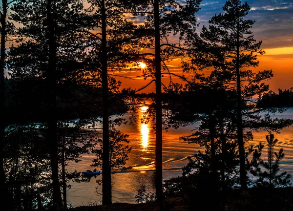 Coucher de soleil sur le lac. Vue du coucher du soleil à travers les arbres . — Photo