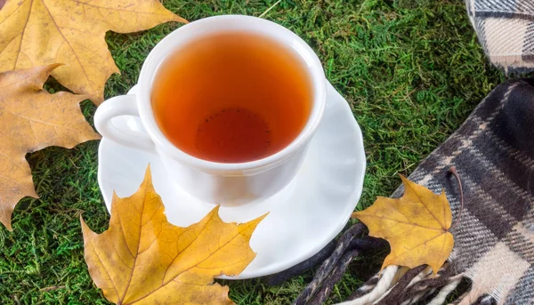 Mug of tea on green grass with yellow leaves — Stock Photo, Image