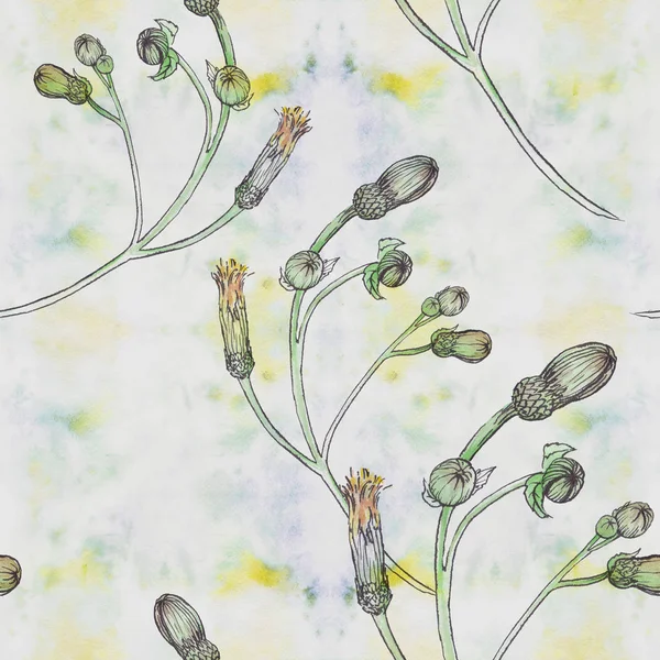 Blumen Aquarell Nahtloser Hintergrund Collage Von Knospen Auf Einem Aquarell — Stockfoto