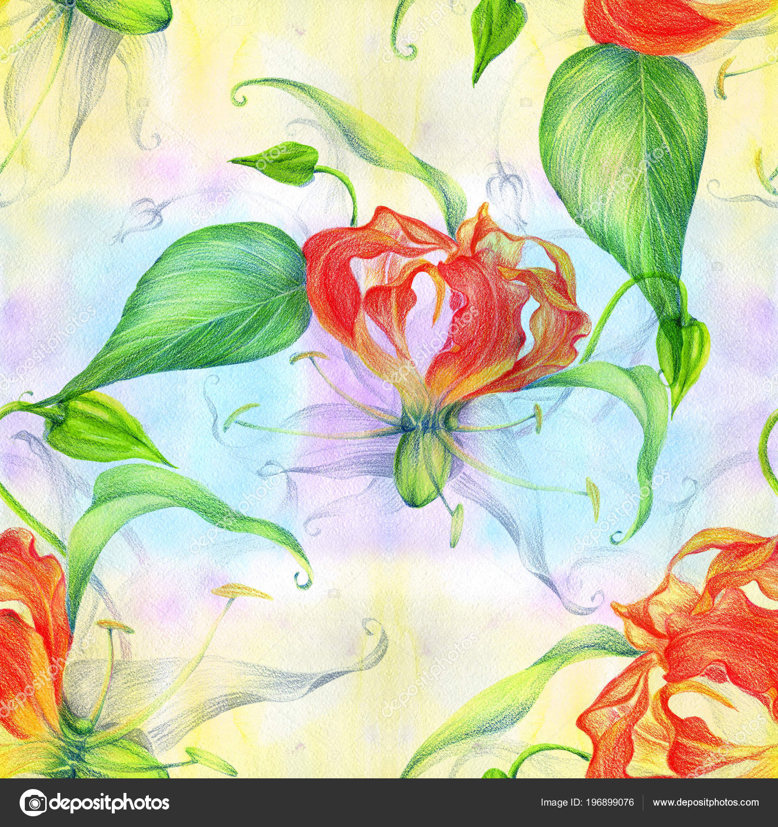 Fleurs Gloriosa Une Branche Avec Une Fleur Des Bourgeons Des