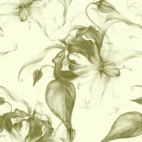 Kwiatów Gloriosa Oddział Kwiatem Pąki Liście Bezszwowe Tło Ołówek Tle — Zdjęcie stockowe