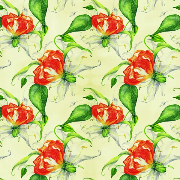 Цветы Глориоза Ветвь Цветком Бутонами Листьями Бесшовный Фон Рисунок Карандашом — стоковое фото