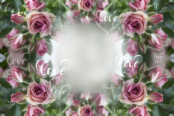 Różowe Róże Kwiatów Użyj Materiałów Drukowanych Znaki Elementów Strony Internetowe — Zdjęcie stockowe