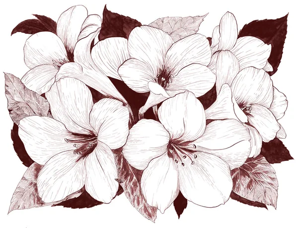 Trópusi Virágok Grafikai Művészetek Dekoratív Kompozíció Virágok Akvarell Alapon Használja — Stock Fotó