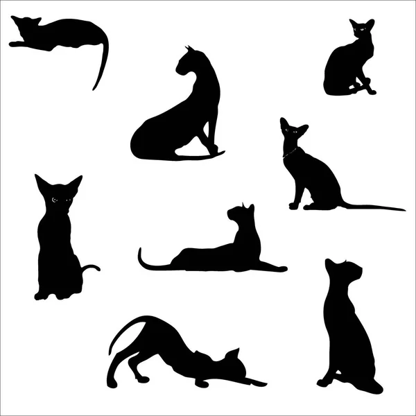 Cats Different Poses Silhouettes Cat Lies Sits Stretches Its Back — Stock Vector