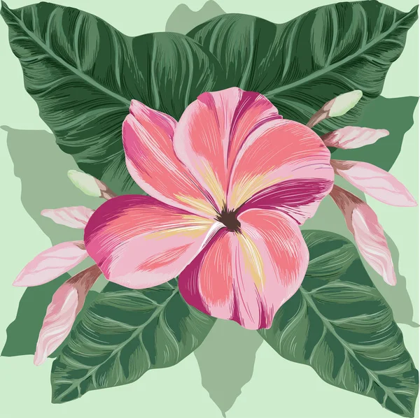 Vektori Kukat Lehdet Silmut Plumeria Watercolor Tausta Abstrakti Taustakuva Kukka — vektorikuva