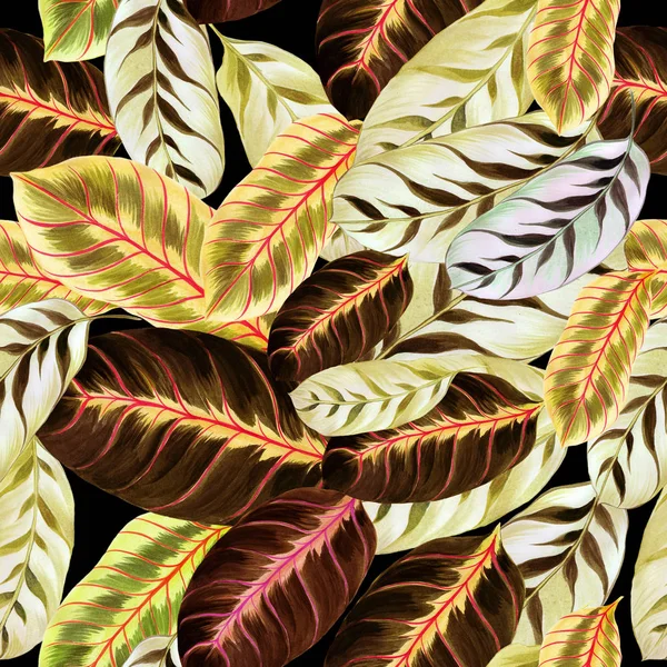 Εξωτικά Φύλλα Morant Ακουαρέλα Φόντο Εικόνα Διακοσμητικά Σύνθεση Χρήση Έντυπου — Φωτογραφία Αρχείου