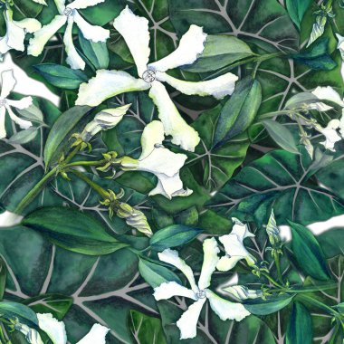 Jasmine flowers on the background of exotic leaves. Seamless pattern. Use printed materials, signs, items, websites, maps, posters, postcards, packaging. clipart