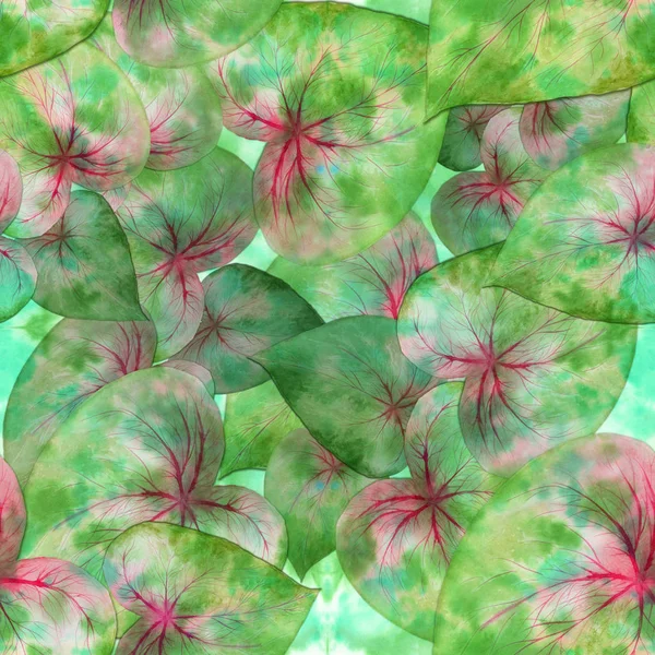 Бесшовный Шаблон Яркие Листья Тропических Растений Акварель Фоновое Изображение Декоративная — стоковое фото