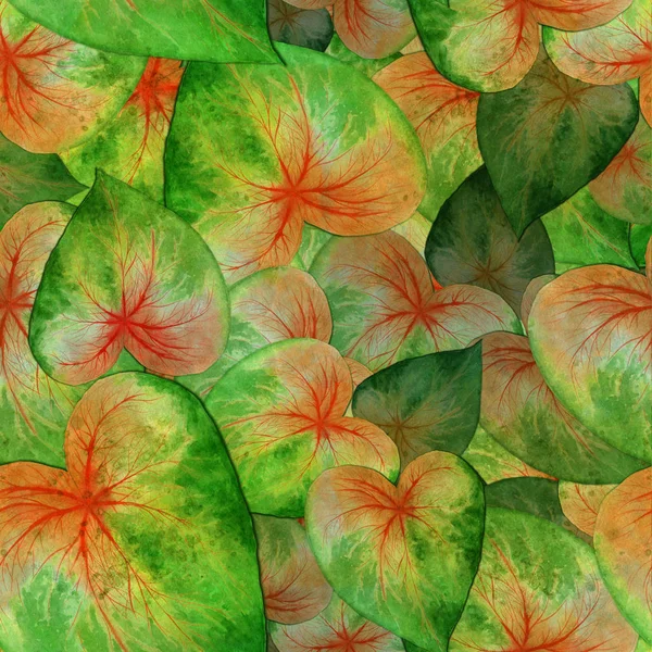 Seamless Modeli Tropik Bitkilerin Parlak Yaprakları Suluboya Arka Plan Resmi — Stok fotoğraf