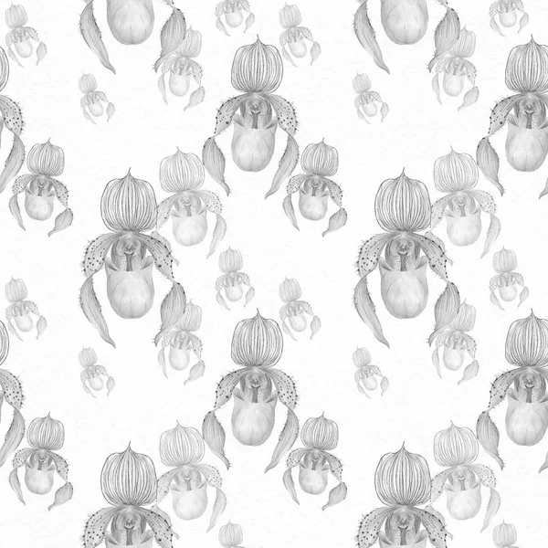 Orchid Pafiopediplum Drawing Watercolor Seamless Pattern Use Printed Materials Signs — Stock Photo, Image