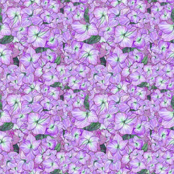 Flowers Leaves Hydrangeas Drawing Watercolor Seamless Pattern Use Printed Materials — Stock Photo, Image