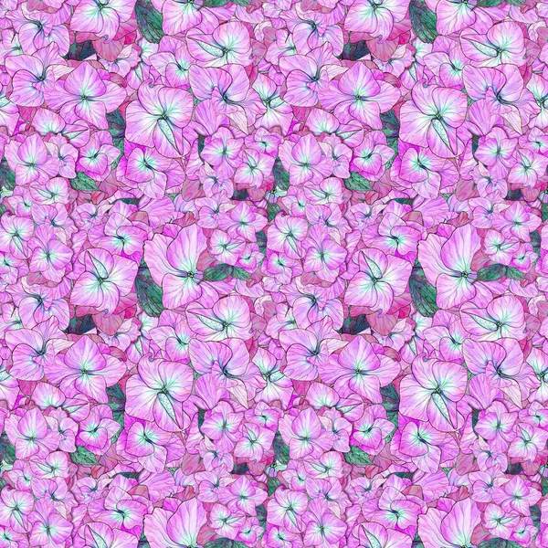 Virágok Levelek Hortenzia Rajz Akvarell Varrat Nélküli Mintát Használja Nyomtatott — Stock Fotó